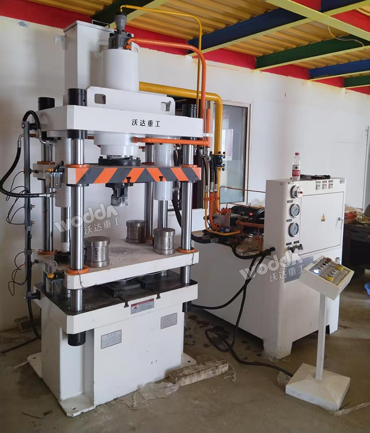 100噸動物營養(yǎng)飼料壓塊機